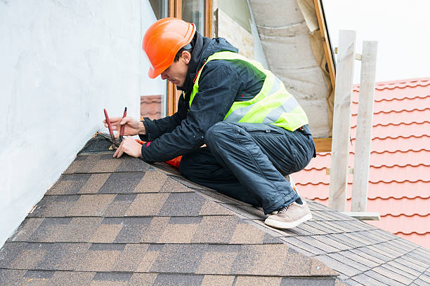 Roof Gutter Cleaning in Oak Park Heights, MN