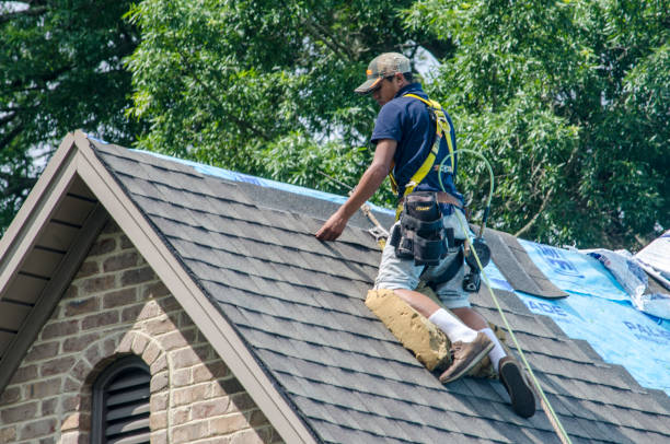Quick and Trustworthy Emergency Roof Repair Services in Oak Park Heights, MN